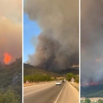 Bursa’da orman yangını! Anonslar yapıldı