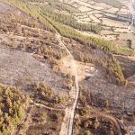 Denizli’deki orman yangınıyla ilgili 1 kişi yakalandı