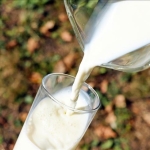 Çiğ süt fiyatında %6,8’lik artış: Yeni fiyat 1 Ekim’den geçerli