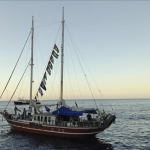 Sumud Filosu’ndan 3’ü Türk 11 kişi tahliye edildi